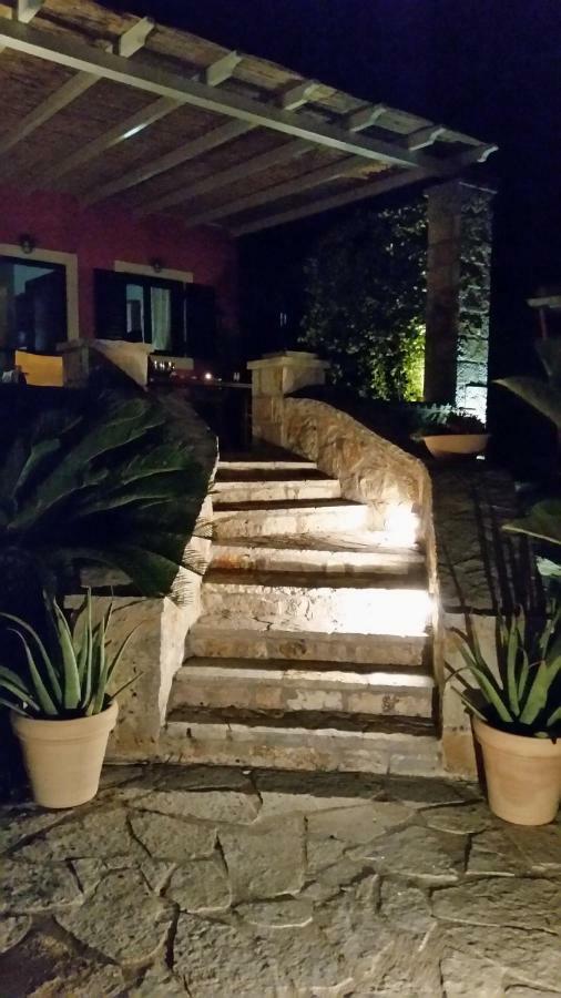 Aloe Villa Apolpaina Exterior photo